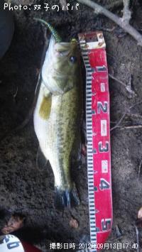 ¥Ö¥é¥Ã¥¯¥Ð¥¹