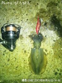 �����ꥤ��