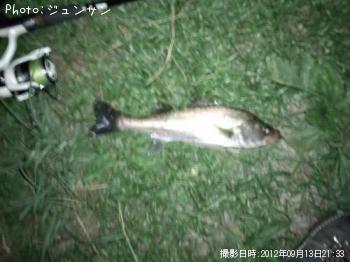 �����Х�