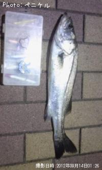 �����Х�