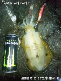 �����ꥤ��