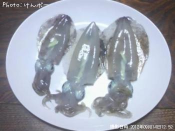 �����ꥤ��