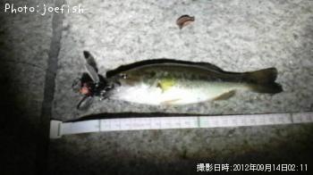 �֥�å��Х�