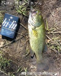 �֥�å��Х�