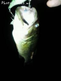 �֥�å��Х�