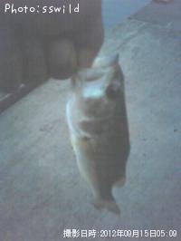 �֥�å��Х�