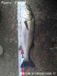 �����Х�