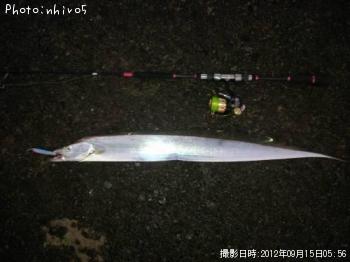 ¥¥Ó¥ì¥¿¥Á¥¦¥ª