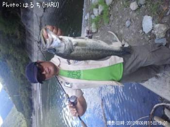 �֥�å��Х�