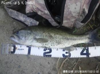 �֥�å��Х�