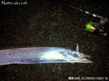 ¥¥Ó¥ì¥¿¥Á¥¦¥ª