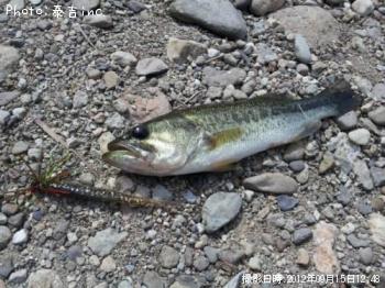 ¥Ö¥é¥Ã¥¯¥Ð¥¹