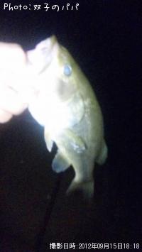 ¥Ö¥é¥Ã¥¯¥Ð¥¹