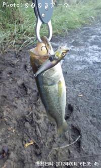 �֥�å��Х�