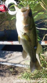 �֥�å��Х�