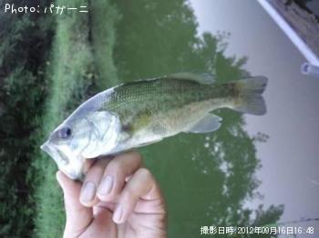 �֥�å��Х�