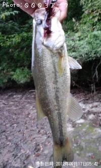 ¥Ö¥é¥Ã¥¯¥Ð¥¹