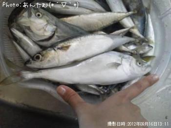 ¥µ¥Ð¡¡¤Õ¤¯¤é¤®