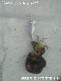 �����ꥤ��