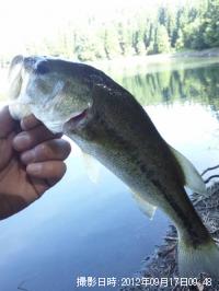 �֥�å��Х�