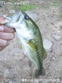 �֥�å��Х�