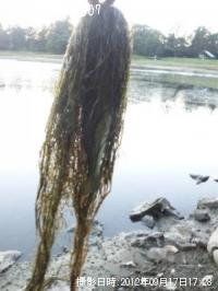 ¥Ö¥é¥Ã¥¯¥Ð¥¹