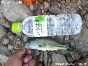 ¥Ö¥é¥Ã¥¯¥Ð¥¹