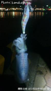 �����ꥤ��