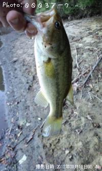 �֥�å��Х�