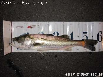 �����Х�