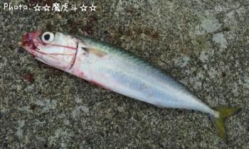 ¥µ¥Ð