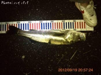 �����Х�