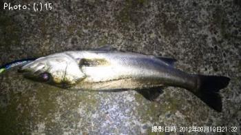 �����Х�