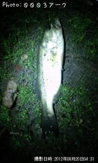 ¥Ö¥é¥Ã¥¯¥Ð¥¹