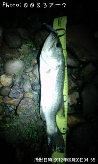 �֥�å��Х�