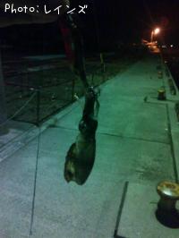 �����ꥤ��