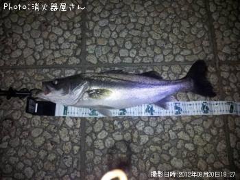 �����Х�