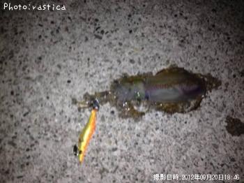 �����ꥤ��