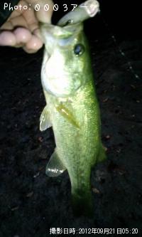 ¥Ö¥é¥Ã¥¯¥Ð¥¹