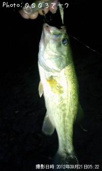 ¥Ö¥é¥Ã¥¯¥Ð¥¹