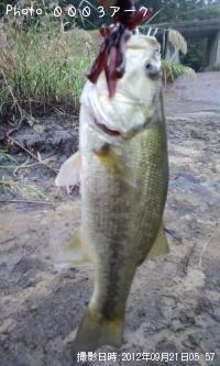 �֥�å��Х�