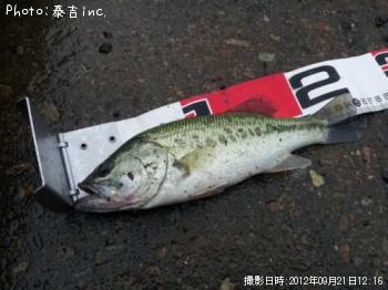 �֥�å��Х�