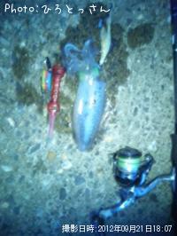 �����ꥤ��