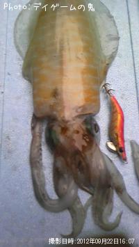 ¥¢¥ª¥ê¥¤¥«