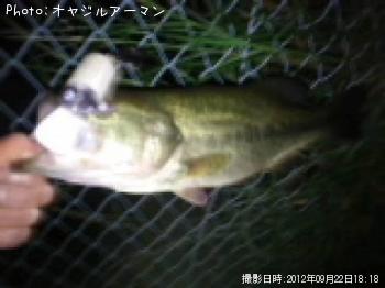 �֥�å��Х�