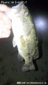 �֥�å��Х�