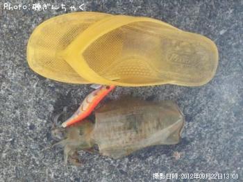 �����ꥤ��