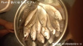 �������������