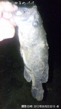 �֥�å��Х�