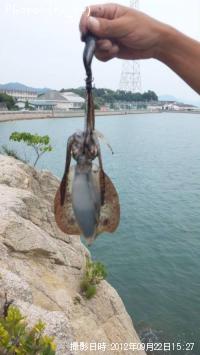 �����ꥤ��